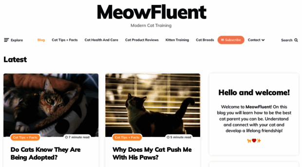 meowfluent.com