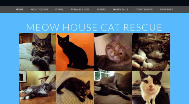 meowhousecatrescue.com