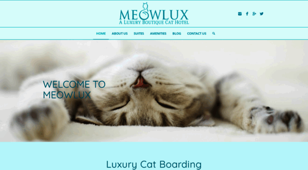 meowlux.com