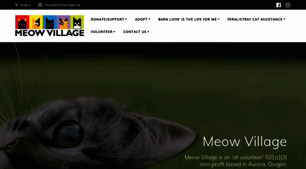 meowvillage.org