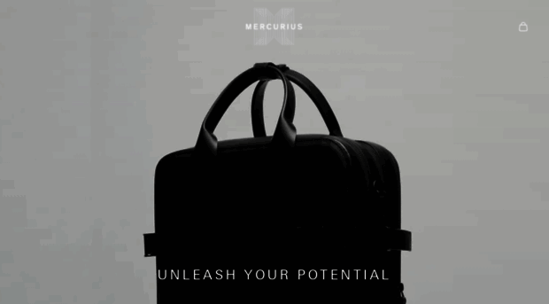 mercurius-official.com