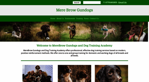 merebrowgundogs.co.uk