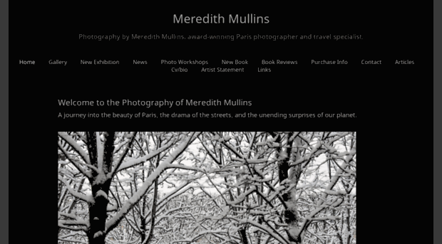 meredithmullins.artspan.com