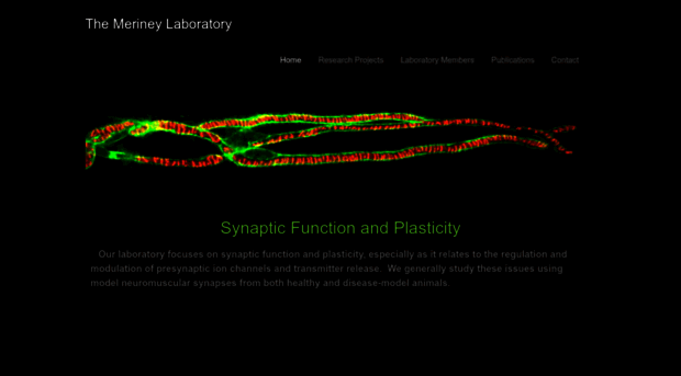 merineylab.weebly.com