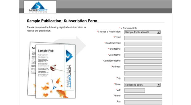 meritleadgen.com