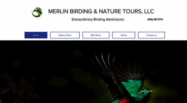 merlinbirding.com