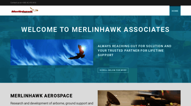 merlinhawk.com - Merlinhawk Associates - Merlinhawk
