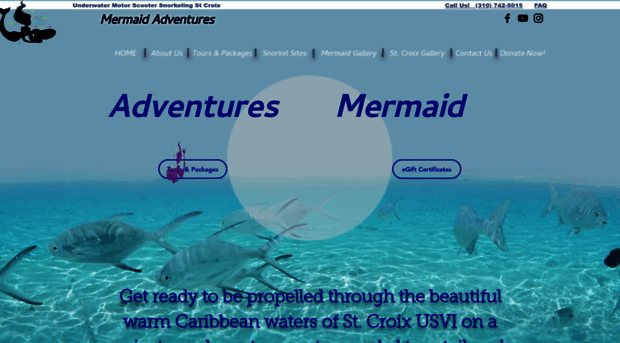 mermaidadventures.net