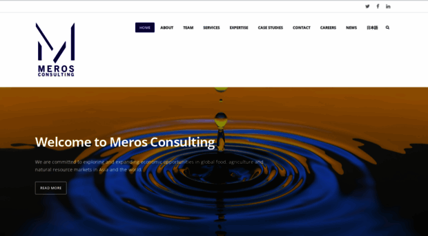 merosconsulting.com