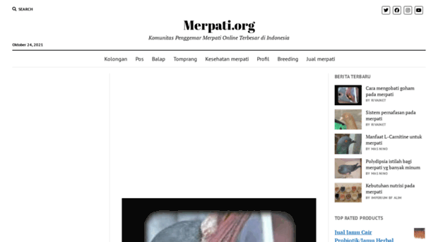 merpati.org