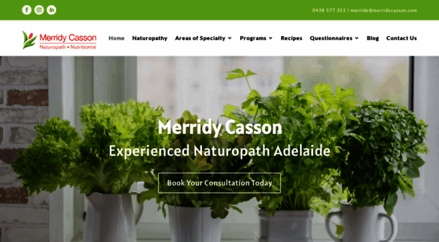 merridycasson.com