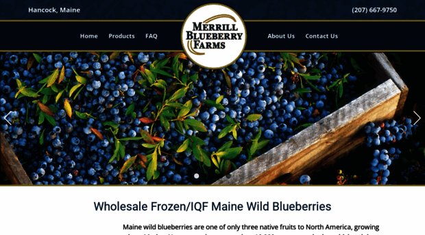 merrillwildblueberries.com