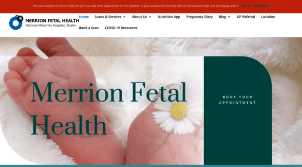 merrionfetalhealth.ie