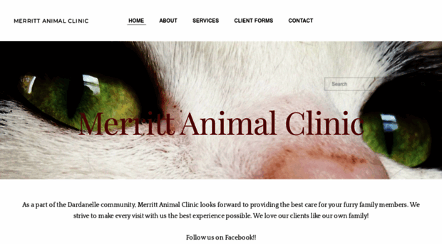 merrittanimalclinic.net