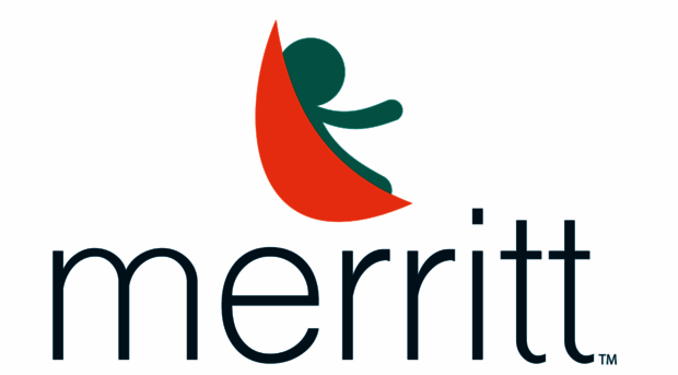 merrittcarseat.com