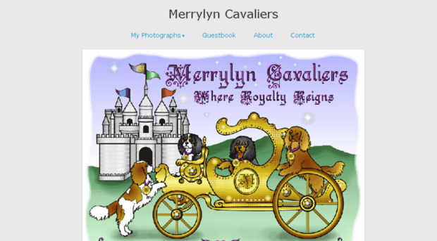 merrylyncavaliersroyalphotos.zenfolio.com