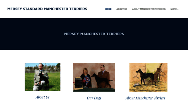 merseymanchesterterriers.weebly.com