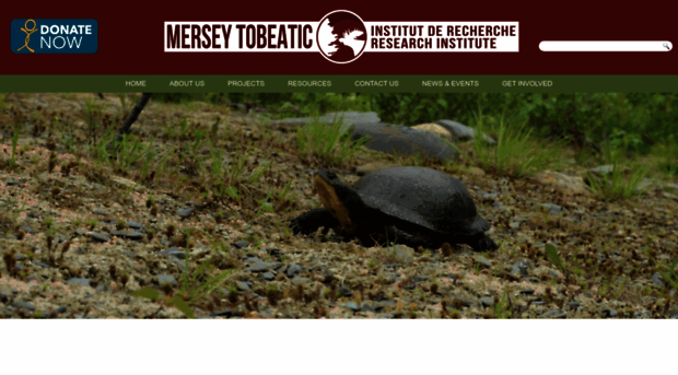 merseytobeatic.ca