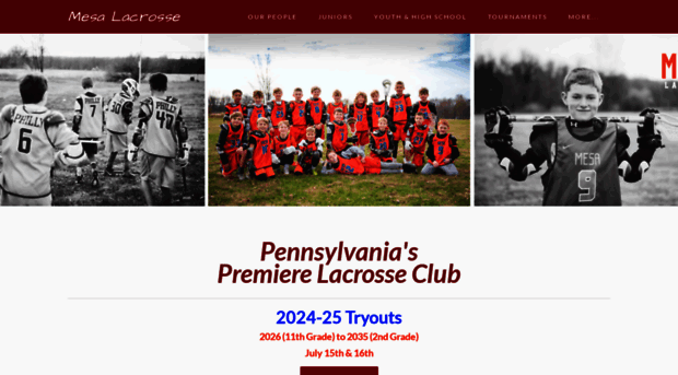 mesalacrosse.com
