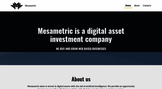 mesametric.com