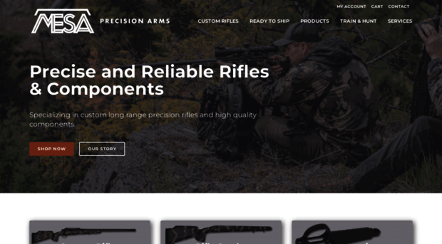 mesaprecisionarms.com