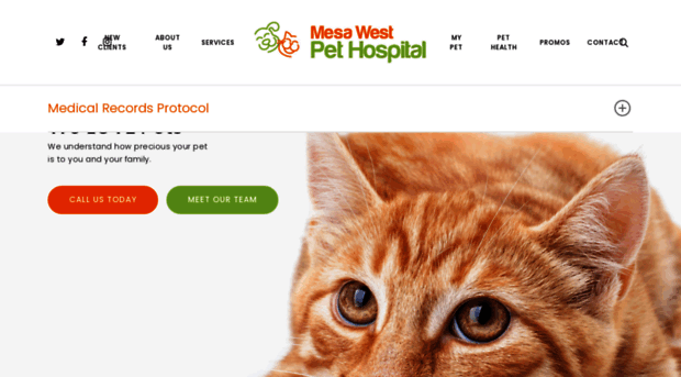 mesawestpethospital.com