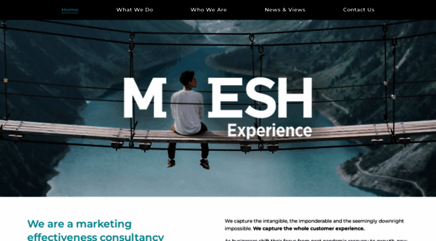 meshexperience.com