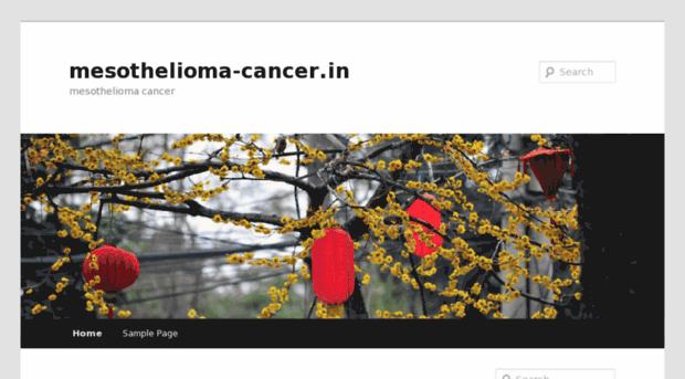 mesothelioma-cancer.in