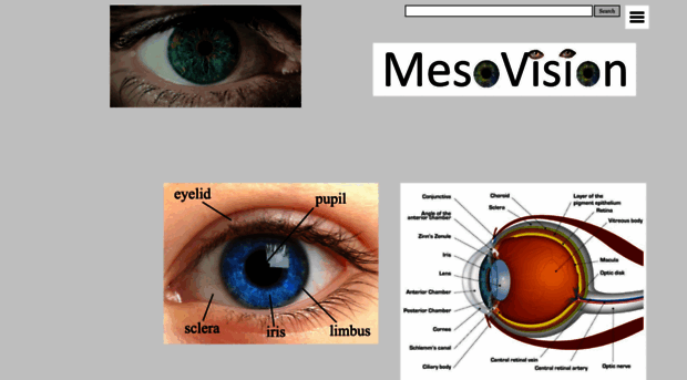 mesovision.com