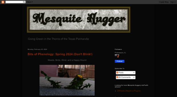 mesquitehugger.blogspot.com