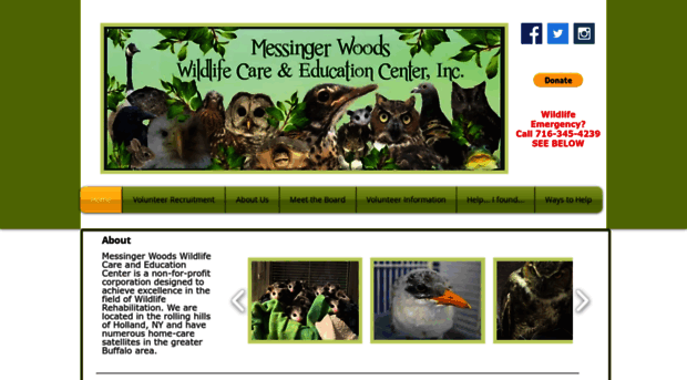 messingerwoods.org