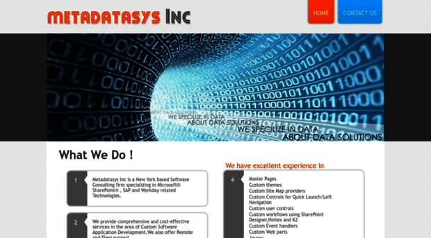 metadatasys.com
