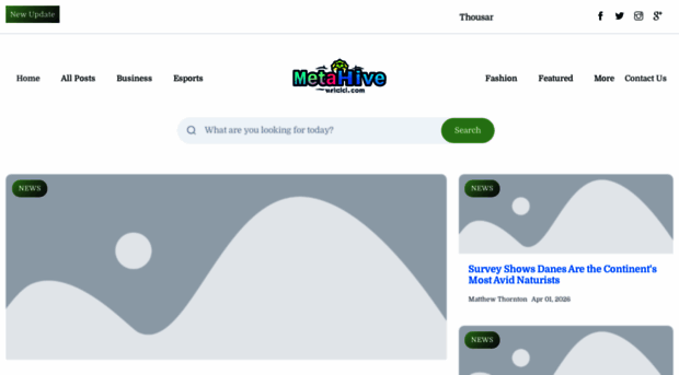 metahiveworld.com