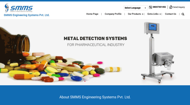 metaldetectorsystem.com