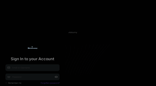 metalsunny.net