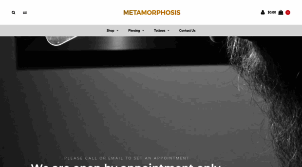 metamorphosisink.com