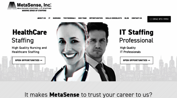 metasenseusa.com