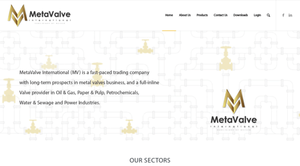 metavalve.com