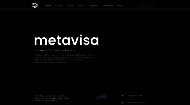 metavisa.com