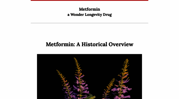 metformin2.com