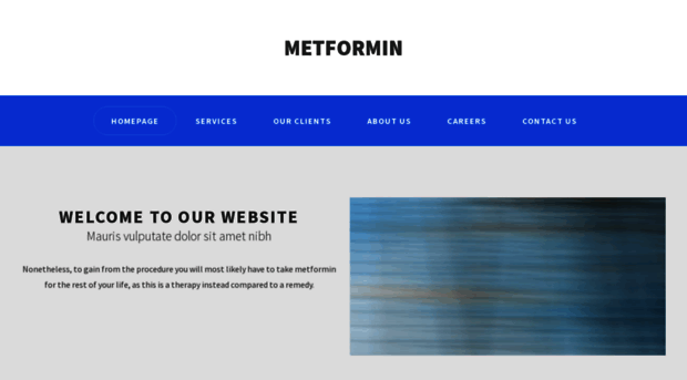 metformingl.com