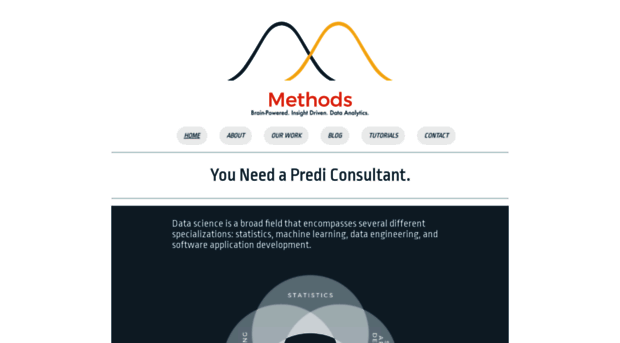 methodsconsultants.com