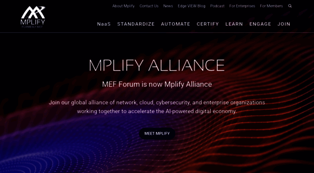 metroethernetforum.org