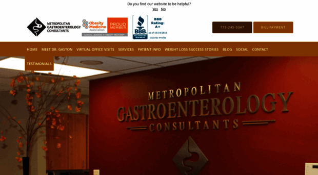 metrogichicago.com