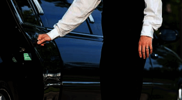 metrolimousineservice.com