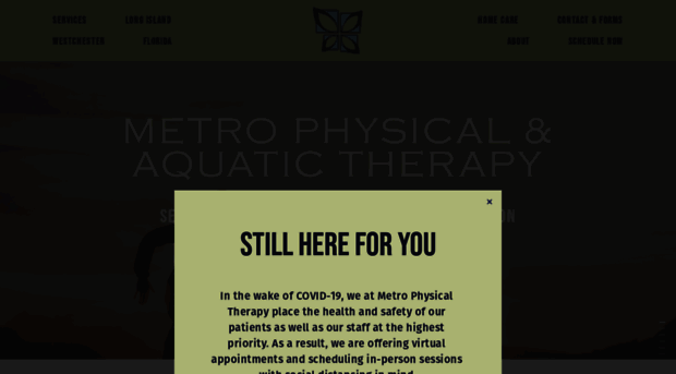 metrophysicaltherapy.com