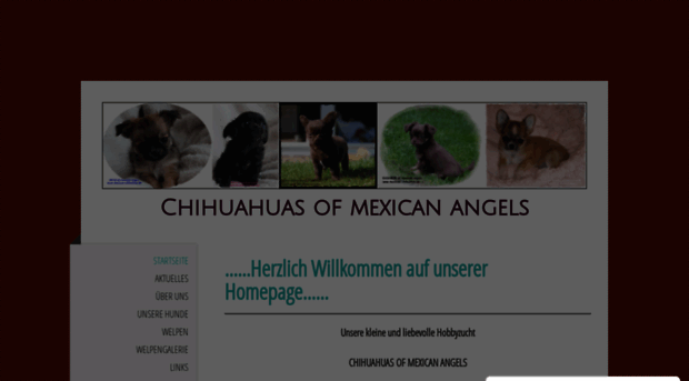 mexican-chihuahua.de