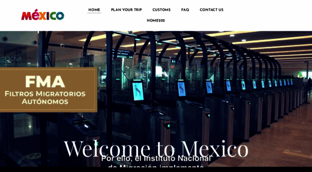 mexicotouristcard.com