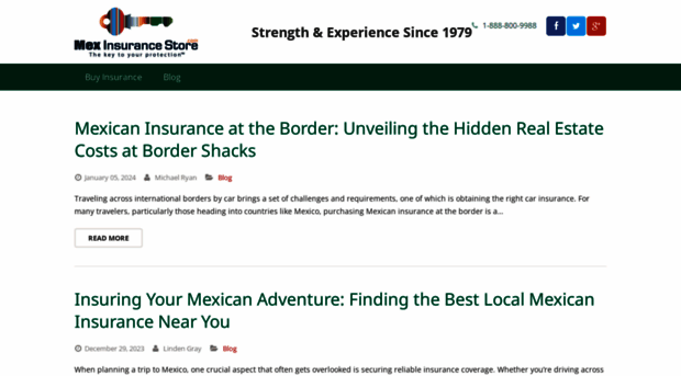 mexinsurancestore.com