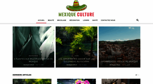 mexiqueculture.org